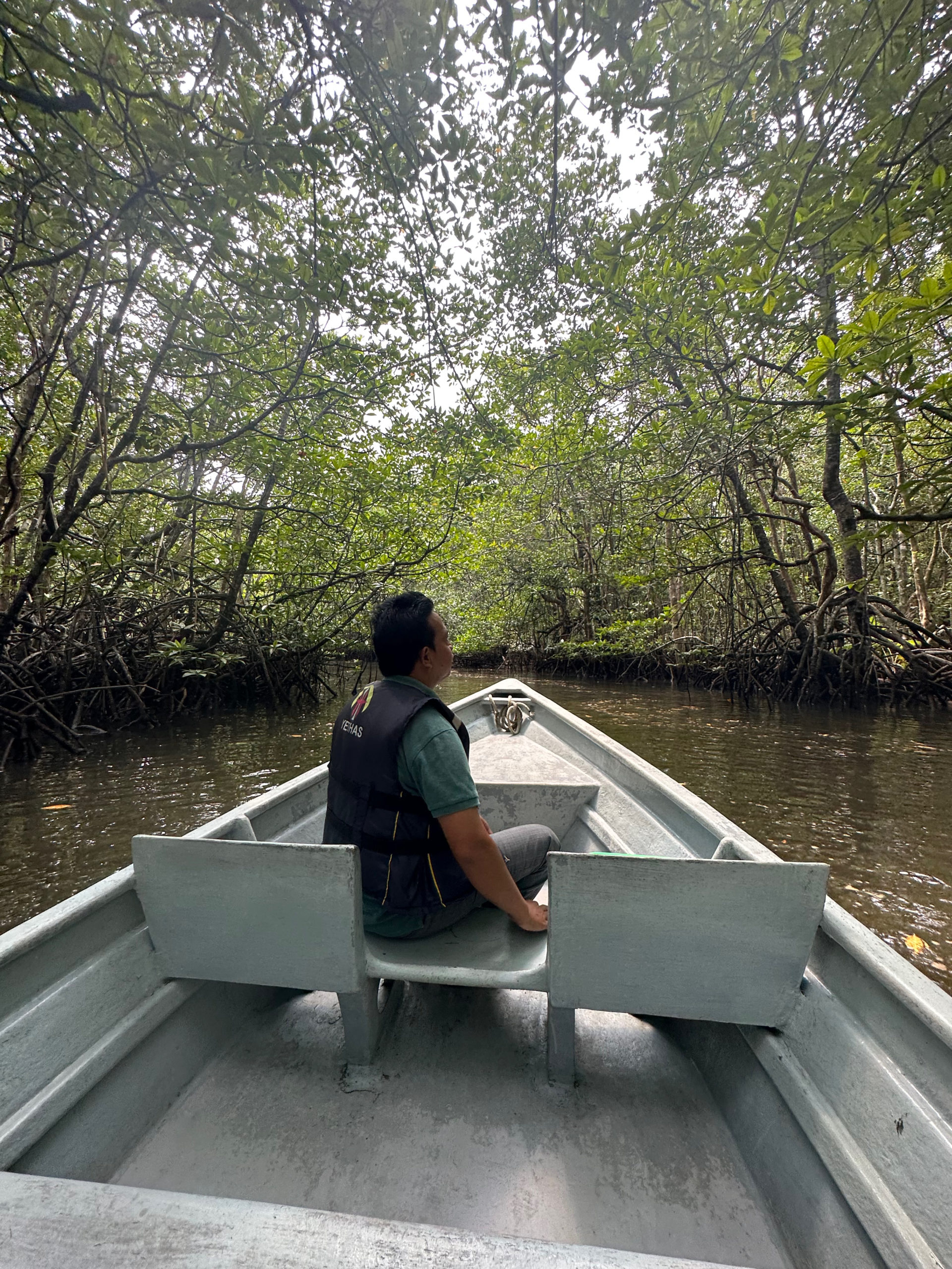 The mangrove tour is good way to pass a couple hours. 